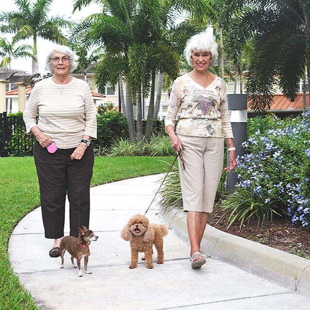Two women outdoors with their dogs. 