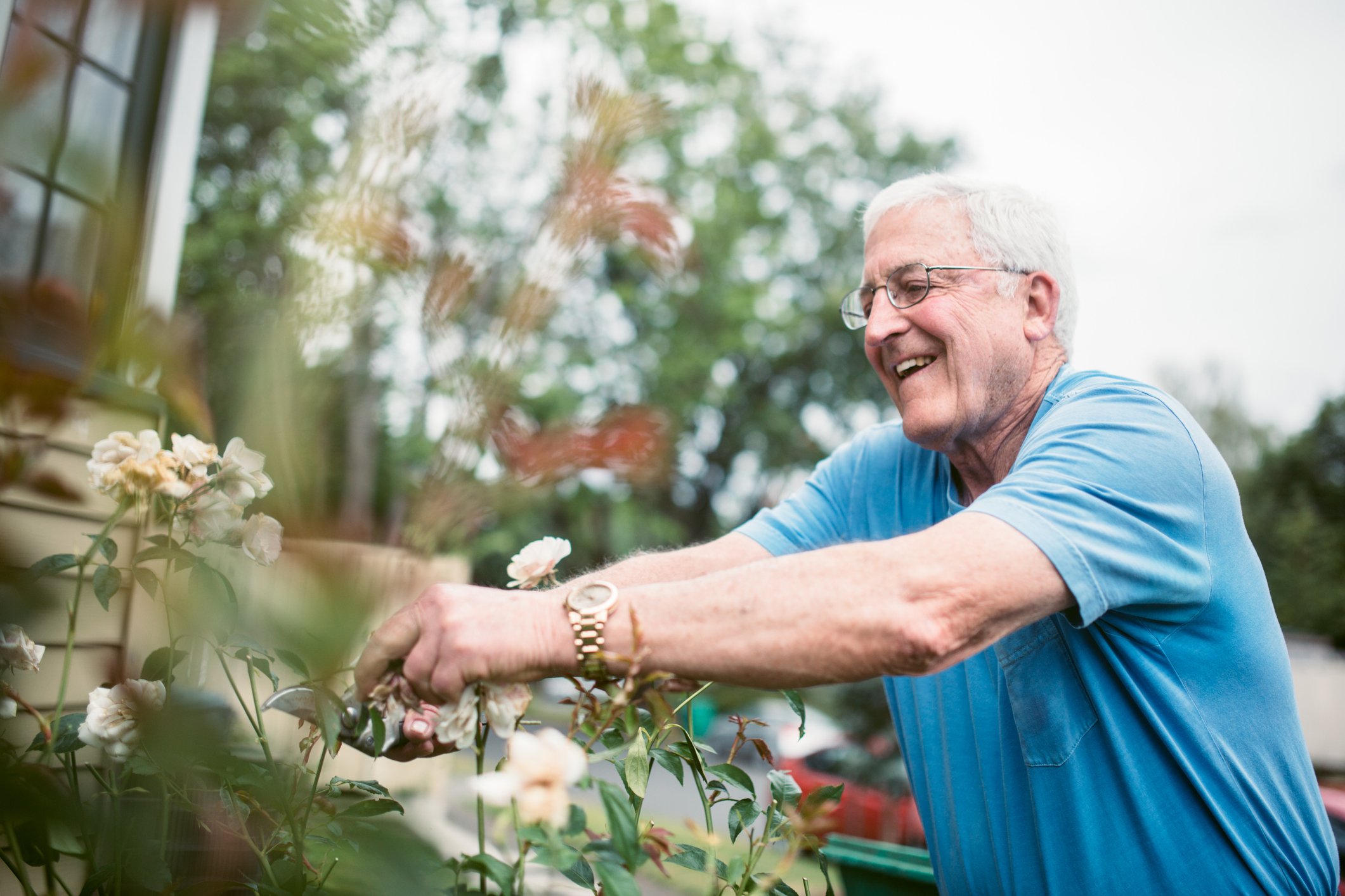 Independence Senior doing gardening