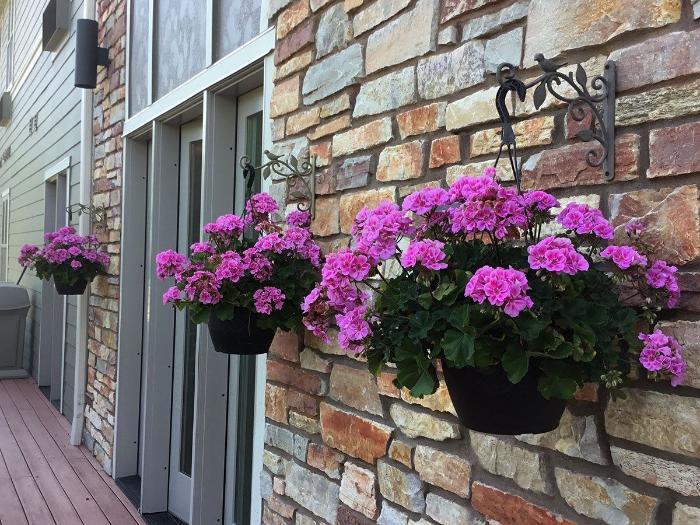 The Shores Exterior 4
