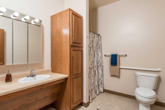 Webster City Bathroom