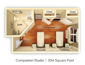 Companion Studio spring arbor bristol