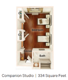 Companion Studio Spring Arbor Athens