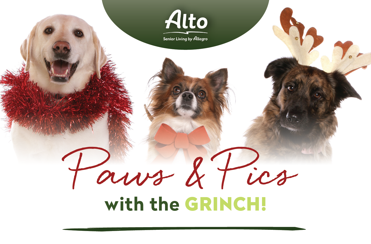 Paws & Pics with the Grinch