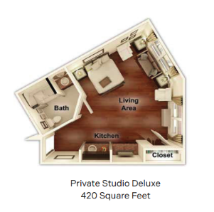 Private Studio Deluxe Spring Arbor Anderson