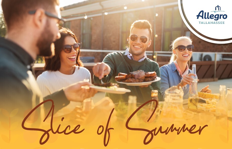 Slice of Summer: Meet the Team