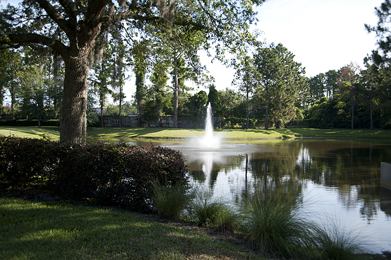 Fleming Island Lake View