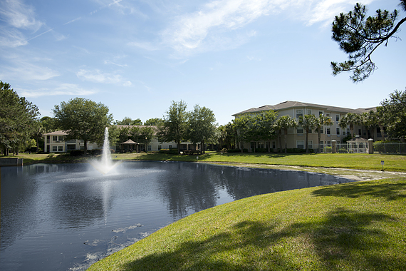 Fleming Island Lake View