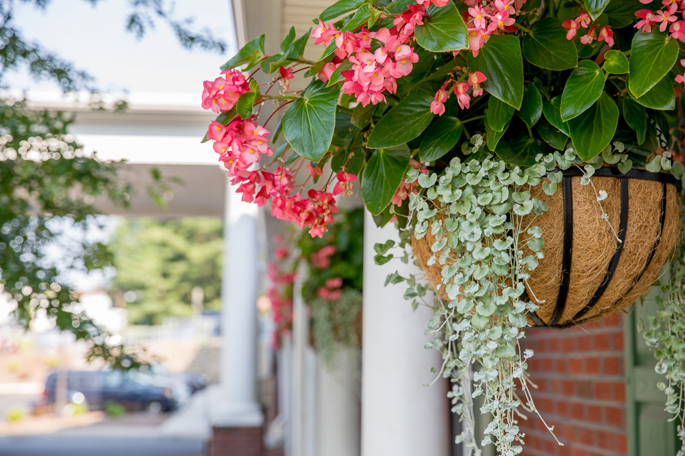 Greenbrier outdoors 3