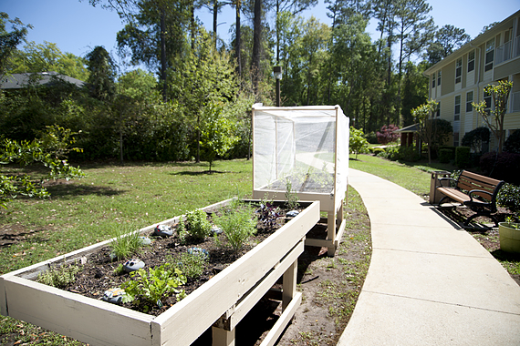 Tallahassee Outdoor Garden