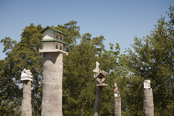 Tavares Bird Houses